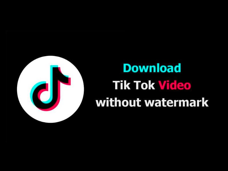 How to Download TikTok Videos Without the Watermark